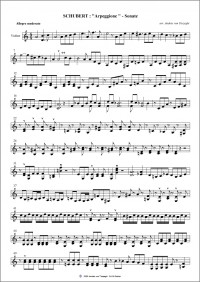 ATV041 • SCHUBERT - Sonate «Arpeggione» - Parts (3)