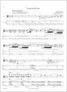 Notenbeispiel Viola / Score example Viola