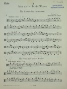 Notenbeispiel / Music example Viola